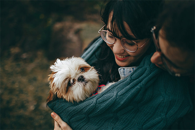 Herefordshire pet friendly